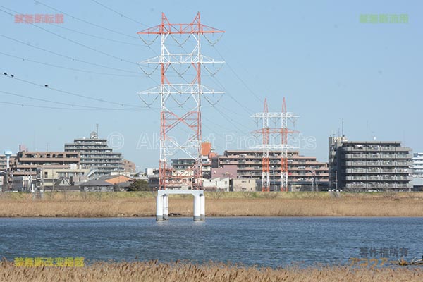 多摩川を跨ぐ南大田線