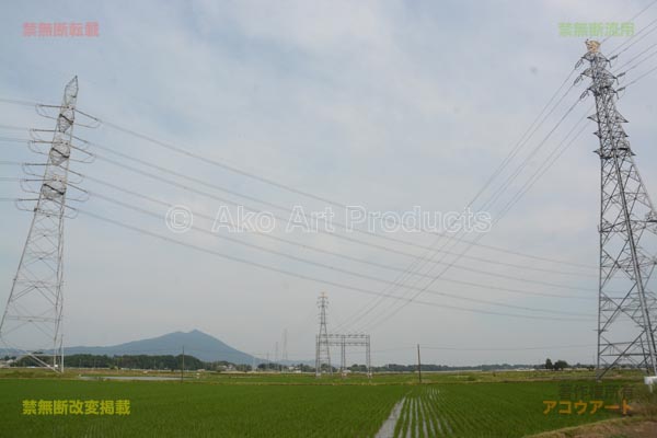 福島東幹線を潜る筑波線